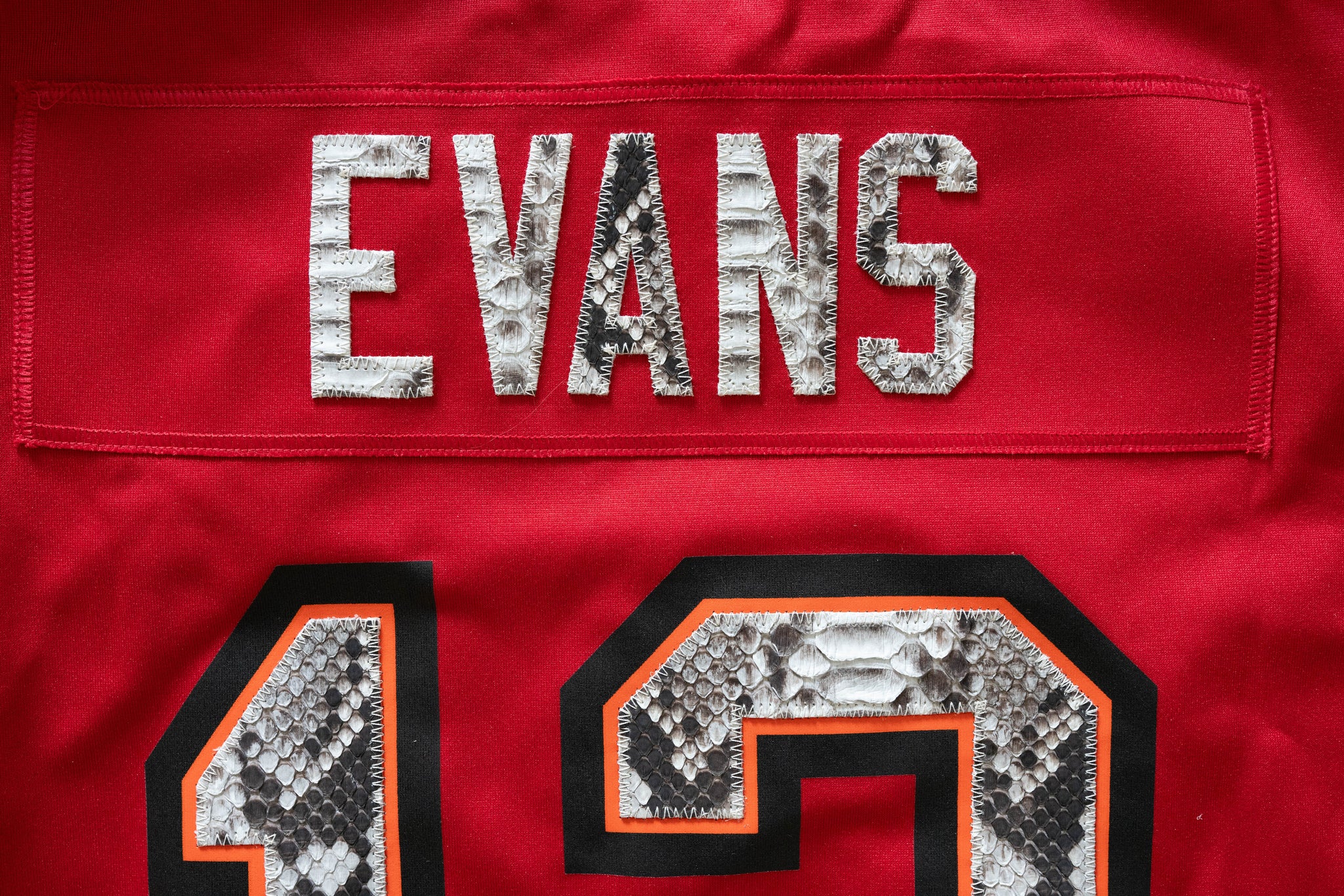 Custom Nike Mike Evans Tampa Bay Buccaneers Python Jersey