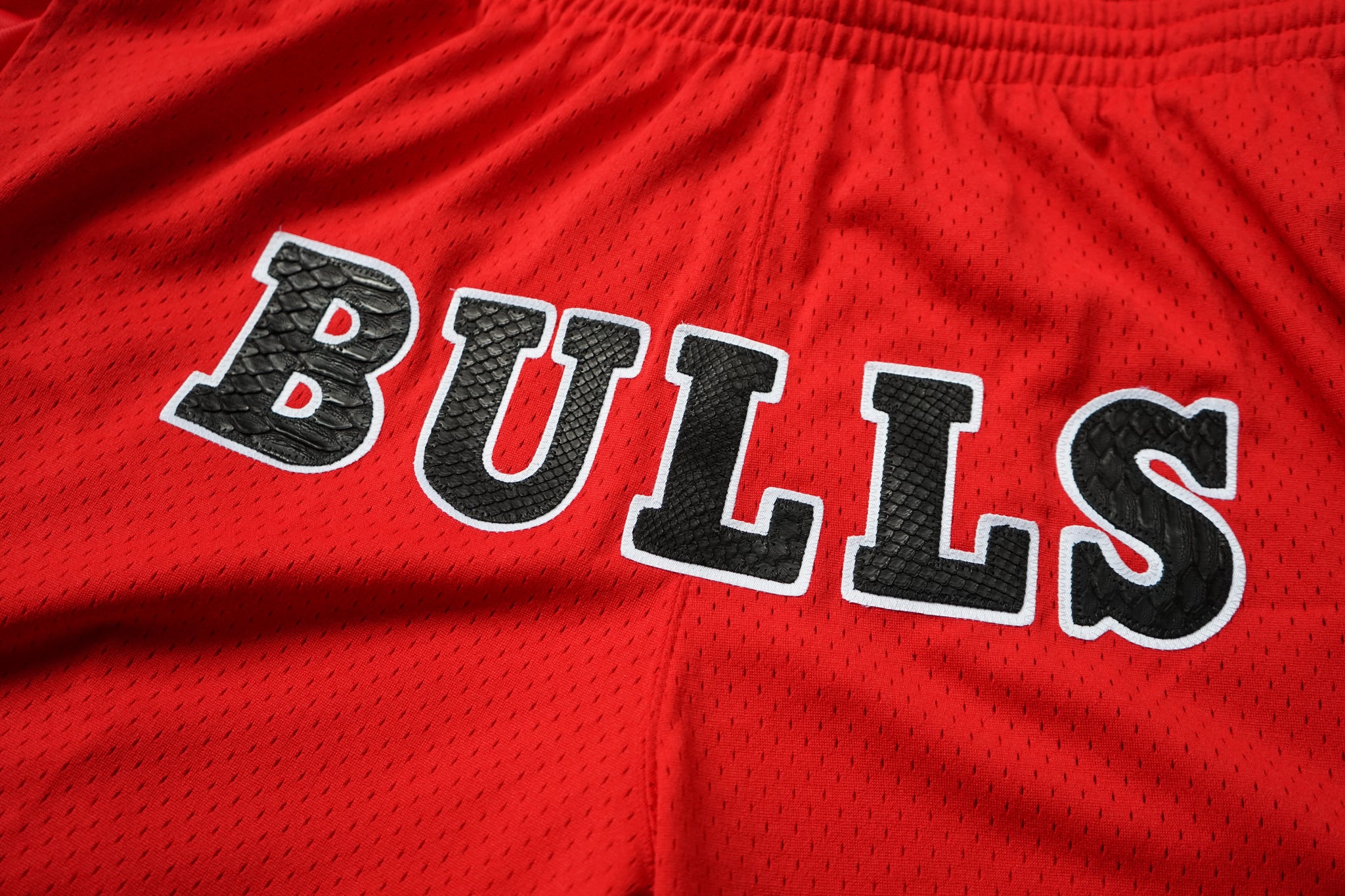 Custom Mitchell & Ness Chicago Bulls "BULLS" Python Shorts (Home)