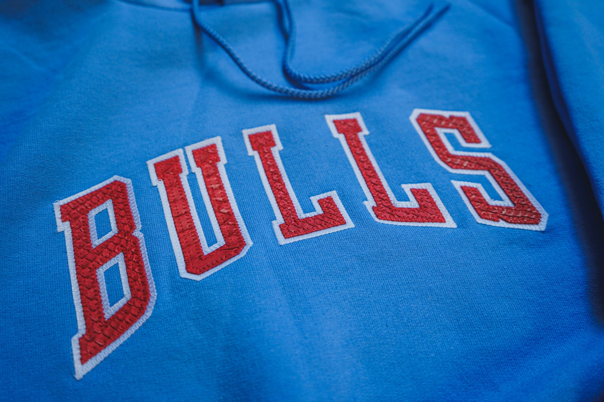 Custom Michael Jordan Chicago Bulls "Fearless" Python Hoodie