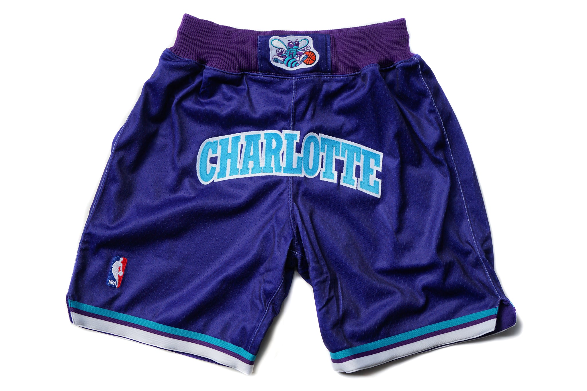 Custom Mitchell & Ness Charlotte Hornets 1994-1995 Authentic Shorts