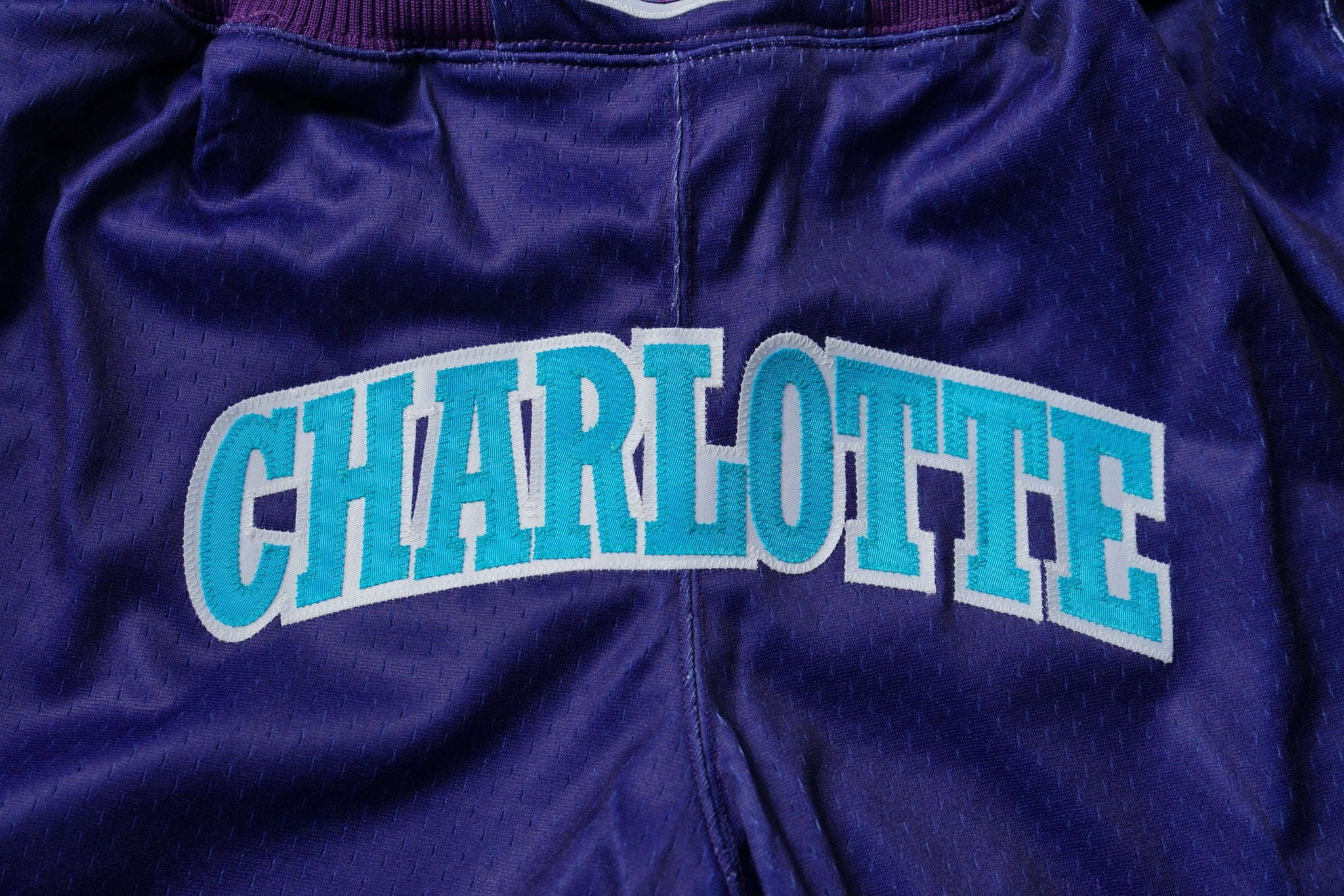 Custom Mitchell & Ness Charlotte Hornets 1994-1995 Authentic Shorts