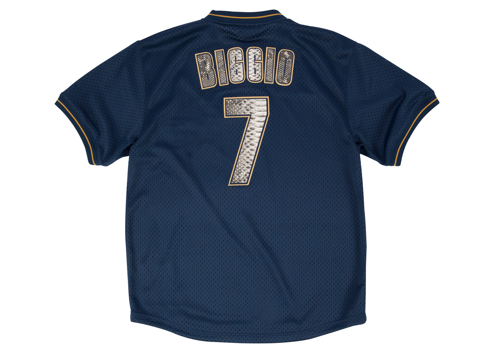 Custom Mitchell & Ness Craig Bigio 1997 Houston Astros Authentic BP Python Jersey