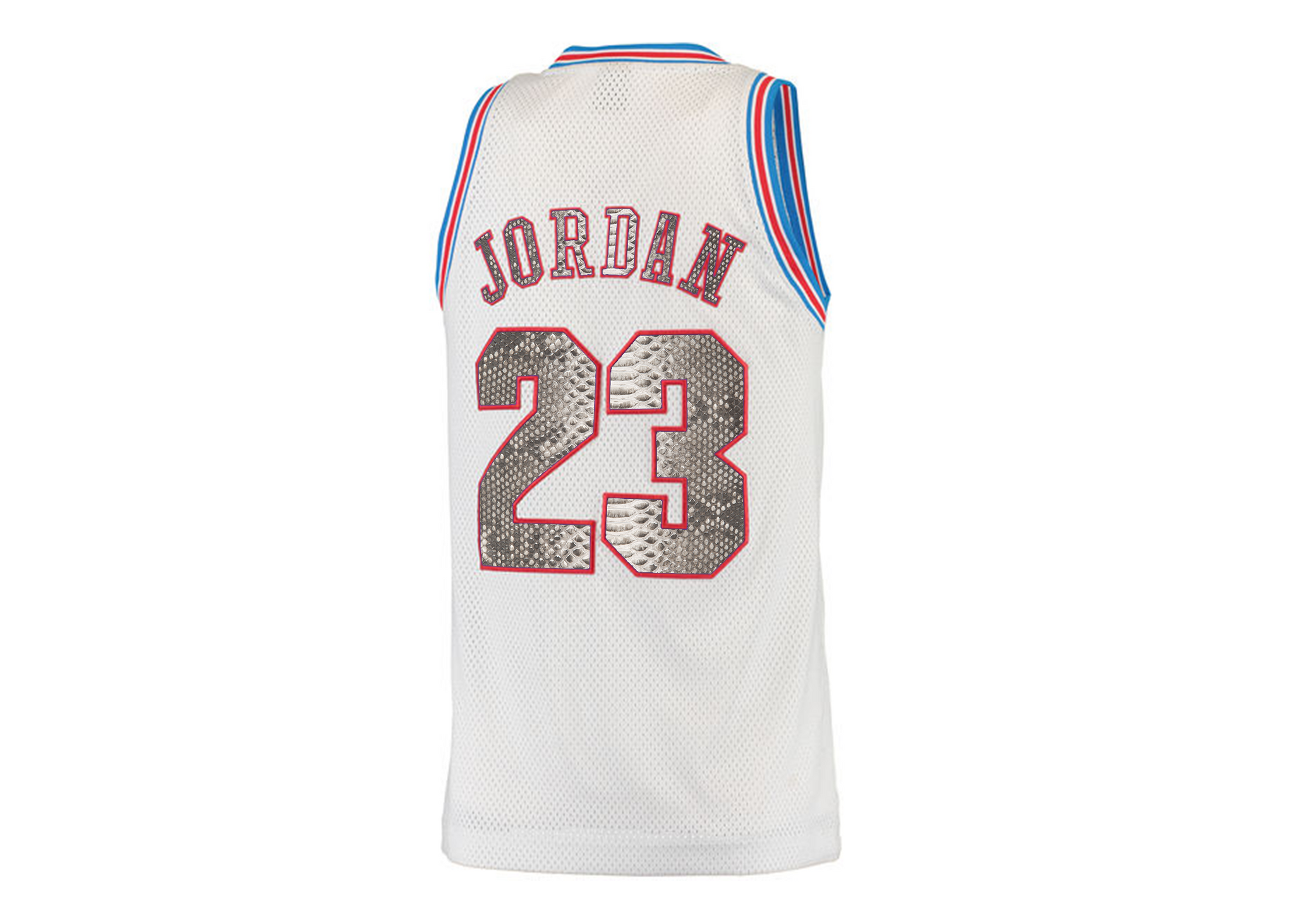 Custom Michael Jordan Tune Squad Space Jam Python Jersey