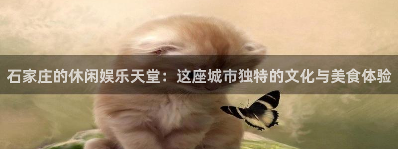 双赢平台注册：石家庄的休闲娱乐天堂：这座城市独特的文化与美食体验