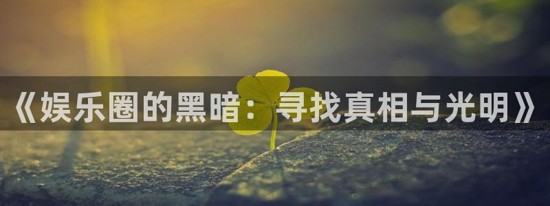 双赢平台平台：《娱乐圈的黑暗：寻找真相与光明》